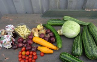 Zuid%2DHollanders+uitgedaagd+van+eigen+bodem+te+eten