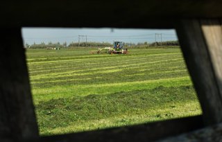Friesland+verpacht+450+hectare+grond+online