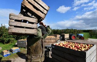 Werken+in+agro%2C+ook+zonder+groene+vingers
