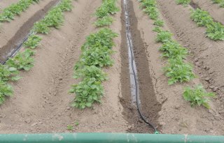 Fors+water+besparen+met+druppelirrigatie