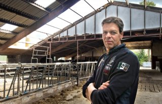 Huismus+en+zwaluw+versus+asbestsanering