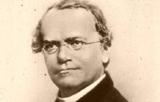 Erfelijkheidsdeskundige+Mendel+zocht+eigenlijk+innovatief+gewas