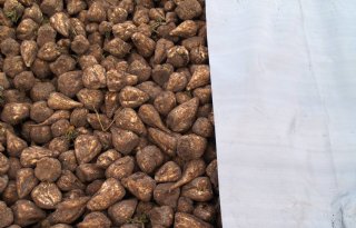 Duitse+suikerfabriek+Nordzucker+verwacht+verlies