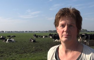 LTO%2Dbestuurder+knap+nijdig+over+veehouderijslot+Groningen