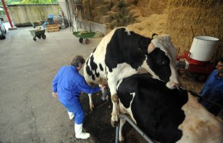 Meer+weerstand+door+natuurlijke+antilichamen