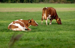 %27PlanetProof+is+zoeken+naar+balans%27