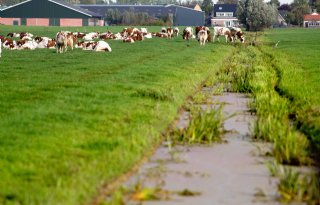 %27Verzilting+is+geen+kans%2C+maar+een+bedreiging%27