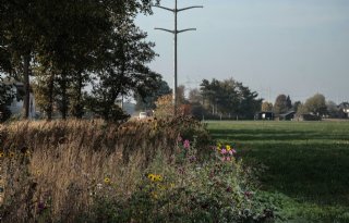 Natuurinclusief+boeren+is+de+hype+voorbij