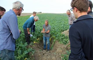 %27Groenbemestermengsels+goed+voor+doorworteling+bodem%27