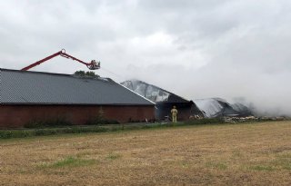 Brand+legt+varkensstal+Heusden+in+de+as