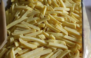 Aardappelverwerkers+herstellen+productievolume