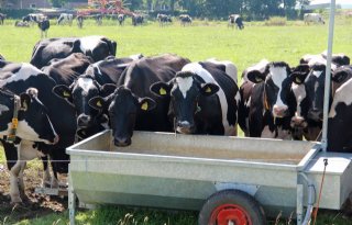 Salmonella+vraagt+voortdurende+alertheid