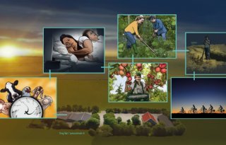 Telers+en+veehouders+verdeeld+over+zomer%2D+en+wintertijd