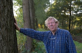 %27Onterecht+imago+van+waaiboomhout%27
