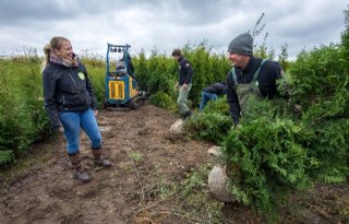 Analyse+webverkoop+stuurt+aanplant