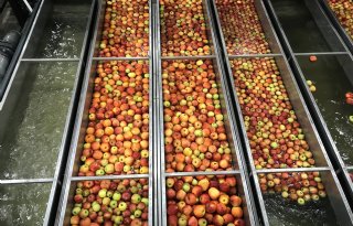 Fruitcampagne+moet+kinderen+aan+appel+en+peer+krijgen