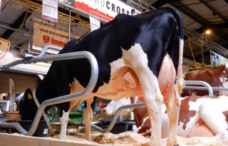 Rundvee+en+Mechanisatie+Vakdagen+in+volle+gang
