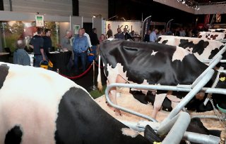 Duurzame+trends+op+beurs+in+Hardenberg