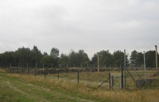 %27Endemische+AVP+bij+wild+zwijn+kwestie+van+tijd%27
