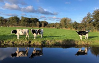 Najaarsschouw+in+Stichtse+Rijnlanden