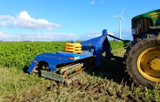 Velddemonstratie+verkleinen+groenbemesters