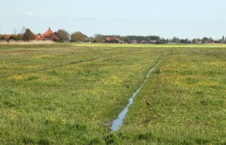 Koning+roept+op+tot+positieve+insteek+natuurontwikkeling