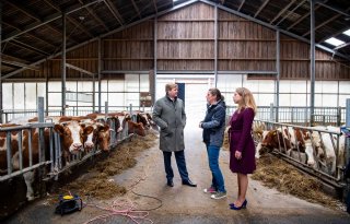 Koning+bezoekt+melkveehouders