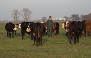 Drentse+variant+op+Afrikaanse+Big+Five