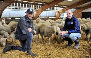 Uit+het+niks+beginnen+met+500+melkschapen