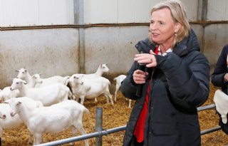 Annie+Schreijer+vijfde+op+CDA%2Dlijst+Europese+verkiezingen