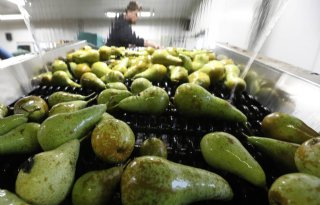 Belgische+agrarische+export+vooral+dicht+bij+huis