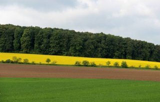 Biologisch+nu+op+8%2C2+procent+van+Duits+landbouwareaal