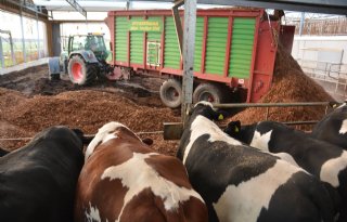 Stalmestcompost+met+hout+uit+boomgaard