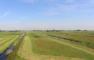 LTO+start+Veenweidenoffensief+West%2DNederland