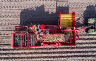 Grimme+integreert+groenteteelt+volledig