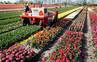 CNB%3A+inleveren+zeggenschap+is+struikelblok+voor+kwekers