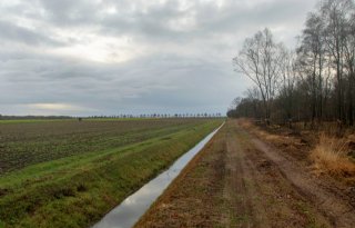 Boer+krijgt+duidelijkheid+over+Engbertsdijksvenen
