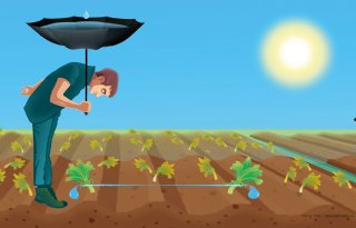 Boeren+moeten+leren+zuinig+te+zijn+met+regenwater