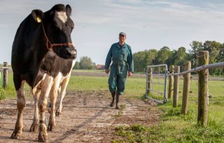 Schiermonnikoger+kaas+in+2020+in+schappen