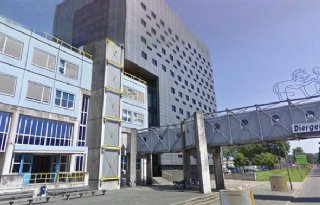Faculteit+Diergeneeskunde+gaat+reorganiseren