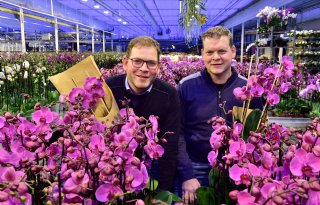 Stolk+Orchids+verpakt+plant+in+papier