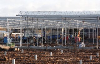 Vernieuwing+Westland+gaat+veel+te+traag