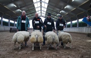 Zomerman+wint+rammenkeuring+Blijham