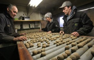 Maatschap+teelt+in+Rilland+aardappelen+en+uien+vrij