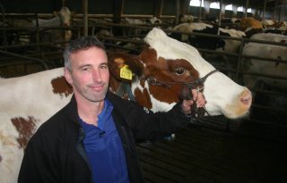 Roodbontfokker+van+het+jaar+legt+nadruk+op+hoornloosheid
