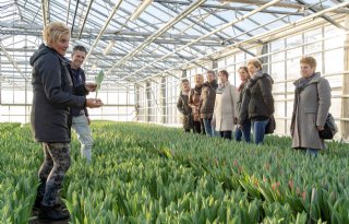 Bezoekers+beleven+tulpenteelt+in+Heemskerk
