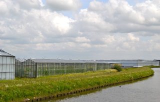 Twee+waterbergingen+in+Westland+in+voorbereiding