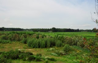Erkenning+voor+rol+Brabantse+boeren+in+manifest