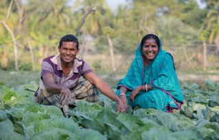 Bangladesh+krijgt+trainingscentrum+zilte+landbouw