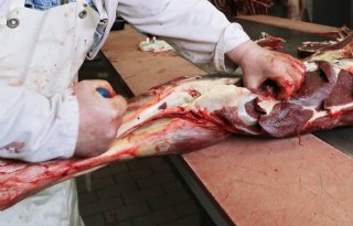 Slachthuis+vervolgd+vanwege+rommelen+met+paardenvlees